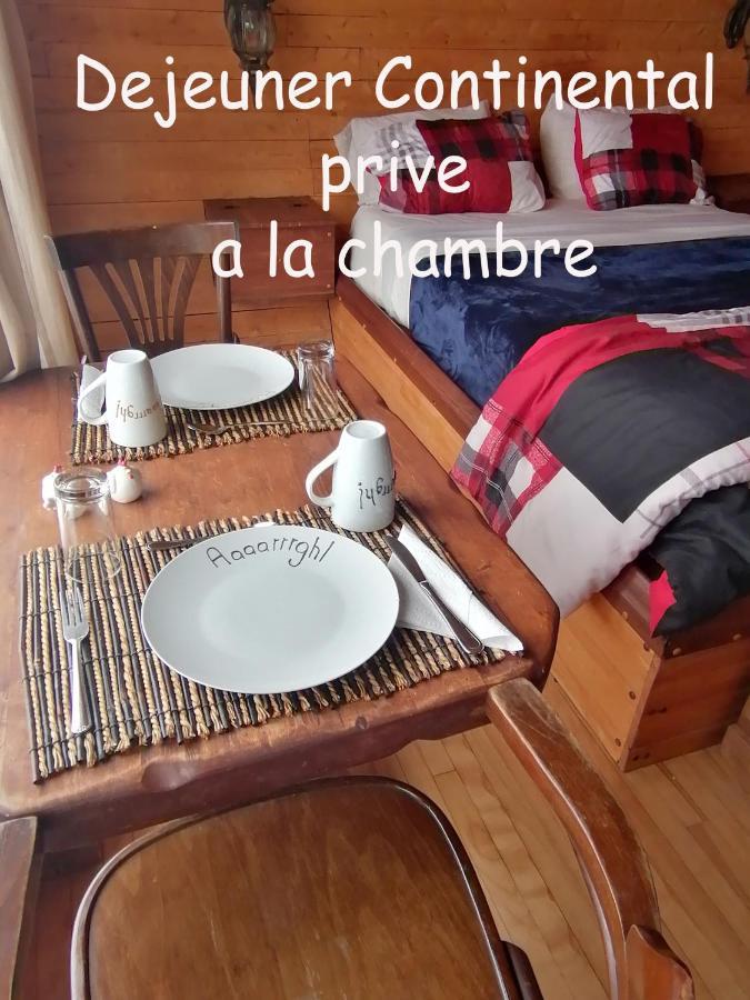 Bed and Breakfast L'Oasis Du Pirate Lévis Esterno foto
