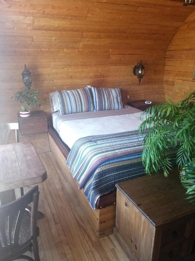 Bed and Breakfast L'Oasis Du Pirate Lévis Esterno foto