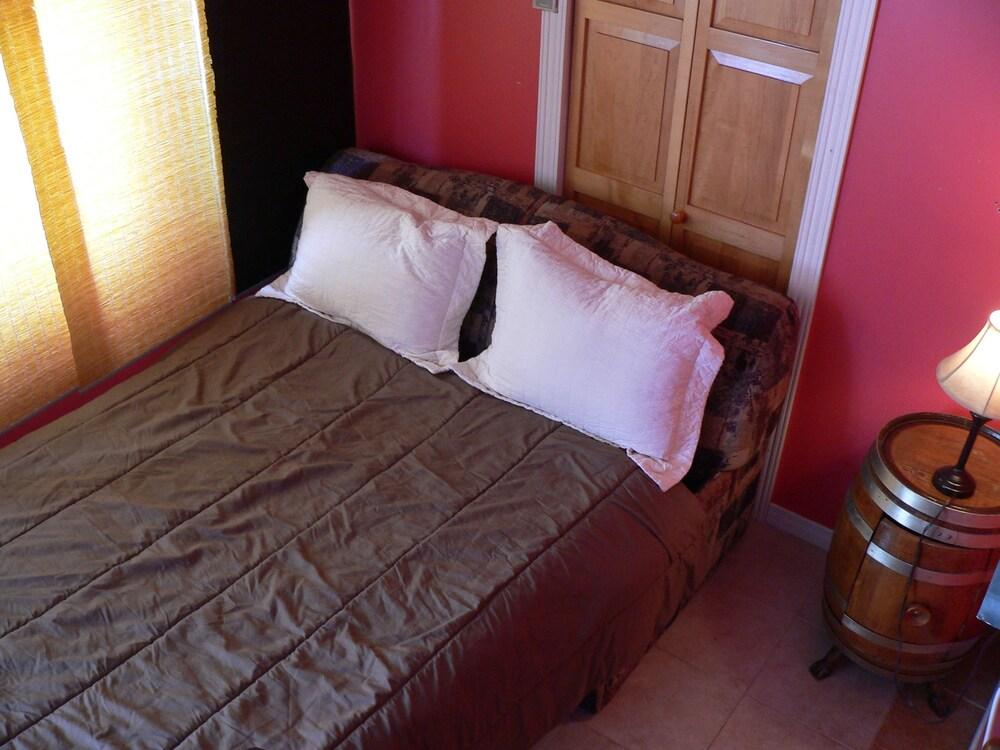 Bed and Breakfast L'Oasis Du Pirate Lévis Esterno foto
